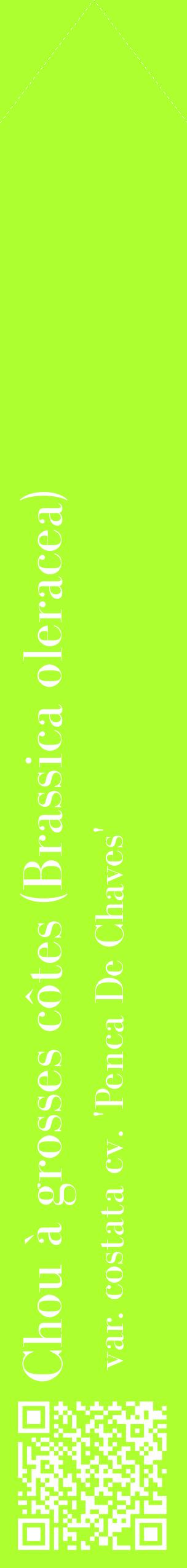 Étiquette de : Brassica oleracea var. costata cv. 'Penca De Chaves' - format c - style blanche17_simplebod avec qrcode et comestibilité