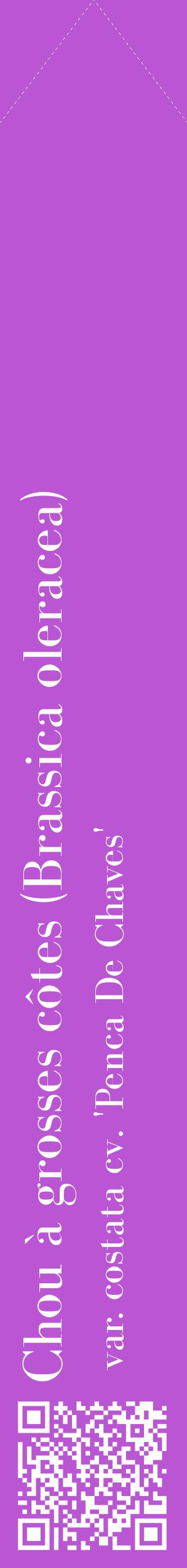 Étiquette de : Brassica oleracea var. costata cv. 'Penca De Chaves' - format c - style blanche50_simplebod avec qrcode et comestibilité