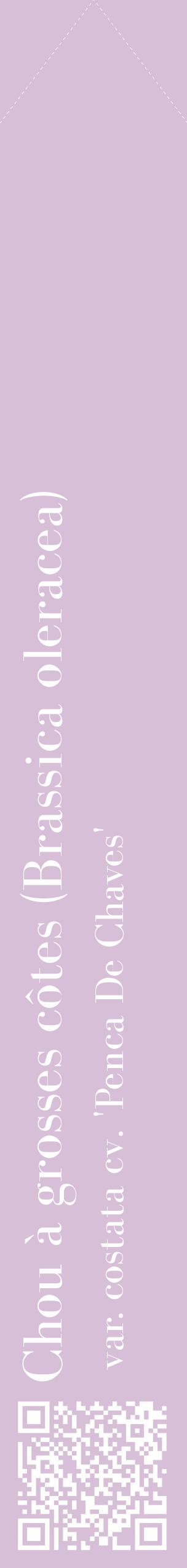 Étiquette de : Brassica oleracea var. costata cv. 'Penca De Chaves' - format c - style blanche54_simplebod avec qrcode et comestibilité