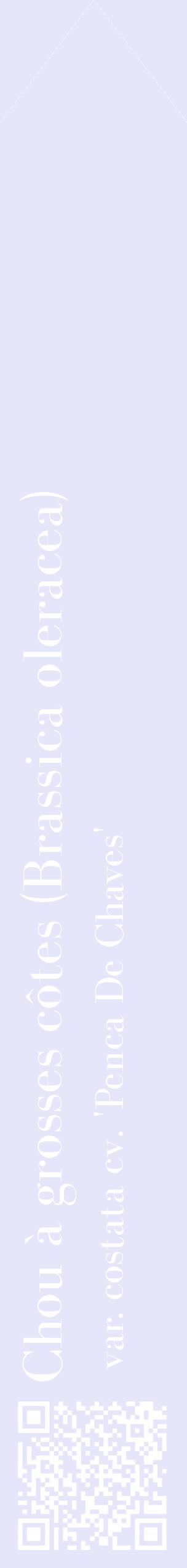 Étiquette de : Brassica oleracea var. costata cv. 'Penca De Chaves' - format c - style blanche55_simplebod avec qrcode et comestibilité