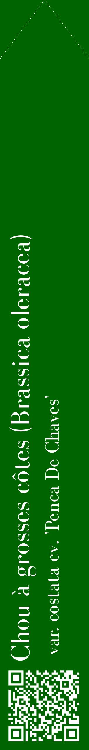 Étiquette de : Brassica oleracea var. costata cv. 'Penca De Chaves' - format c - style blanche8_simplebod avec qrcode et comestibilité