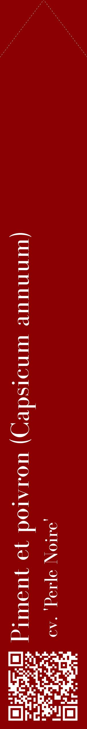 Étiquette de : Capsicum annuum cv. 'Perle Noire' - format c - style blanche34_simplebod avec qrcode et comestibilité
