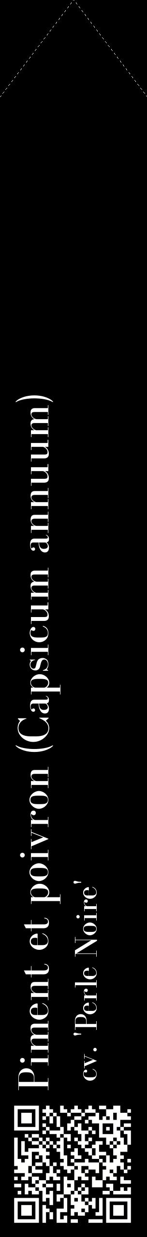 Étiquette de : Capsicum annuum cv. 'Perle Noire' - format c - style blanche59_simplebod avec qrcode et comestibilité
