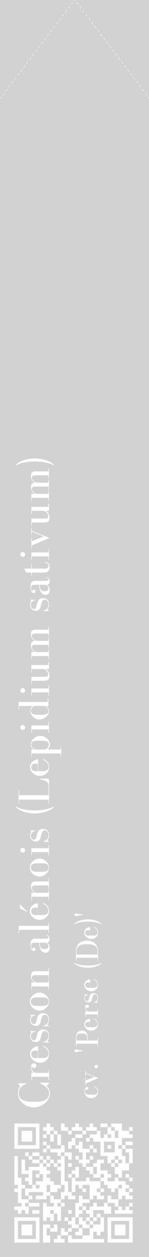 Étiquette de : Lepidium sativum cv. 'Perse (De)' - format c - style blanche14_simple_simplebod avec qrcode et comestibilité - position verticale