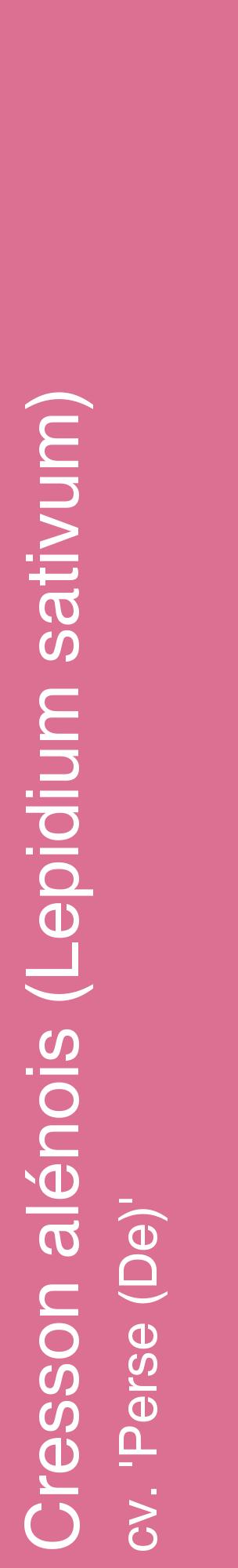 Étiquette de : Lepidium sativum cv. 'Perse (De)' - format c - style blanche44_basiquehel avec comestibilité