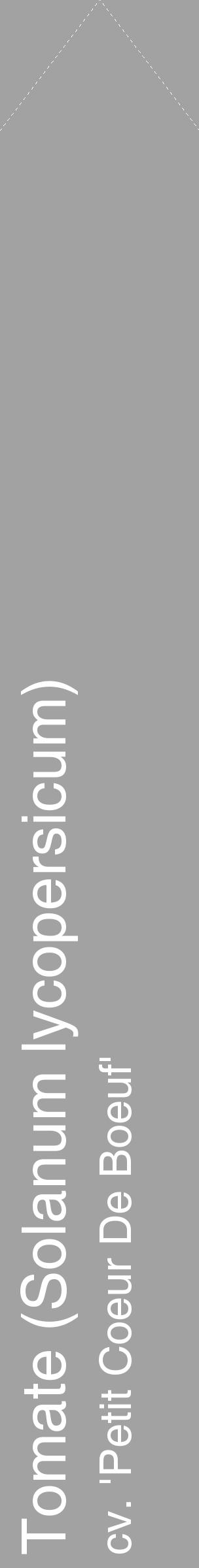 Étiquette de : Solanum lycopersicum cv. 'Petit Coeur De Boeuf' - format c - style blanche38_simple_simplehel avec comestibilité - position verticale