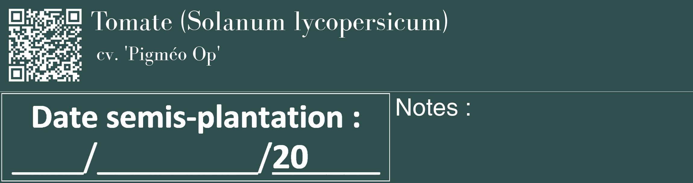 Étiquette de : Solanum lycopersicum cv. 'Pigméo Op' - format c - style blanche58_basique_basiquebod avec qrcode et comestibilité