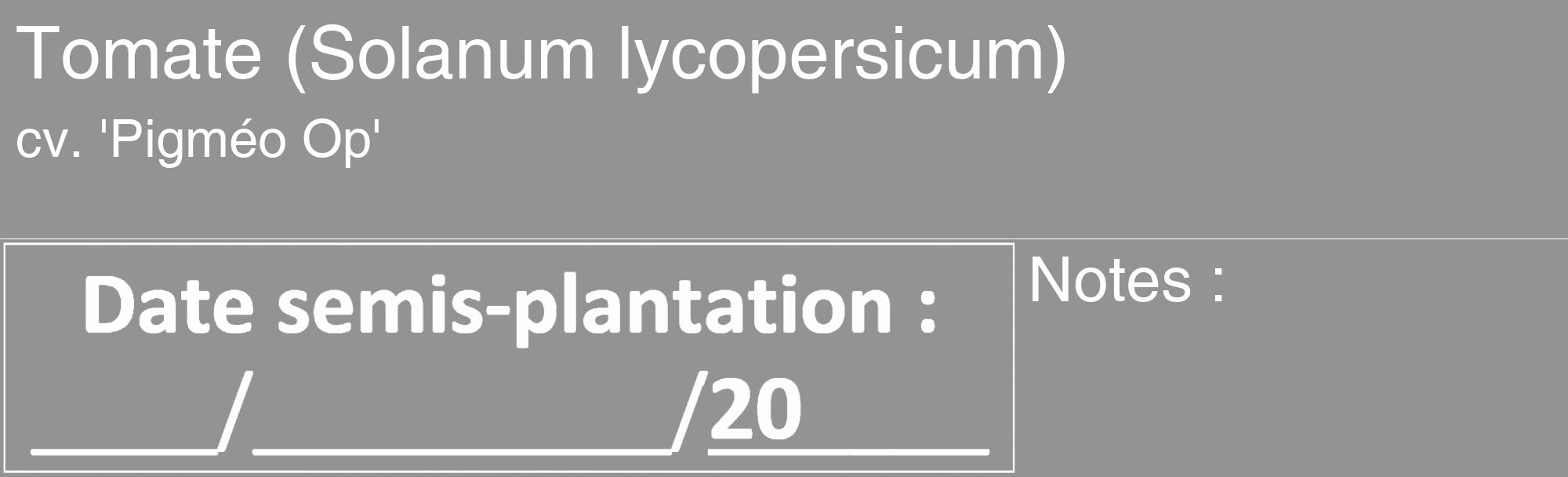 Étiquette de : Solanum lycopersicum cv. 'Pigméo Op' - format c - style blanche44_basique_basiquehel avec comestibilité