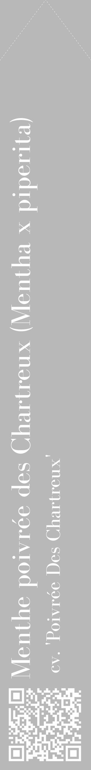 Étiquette de : Mentha x piperita cv. 'Poivrée Des Chartreux' - format c - style blanche39_simple_simplebod avec qrcode et comestibilité - position verticale