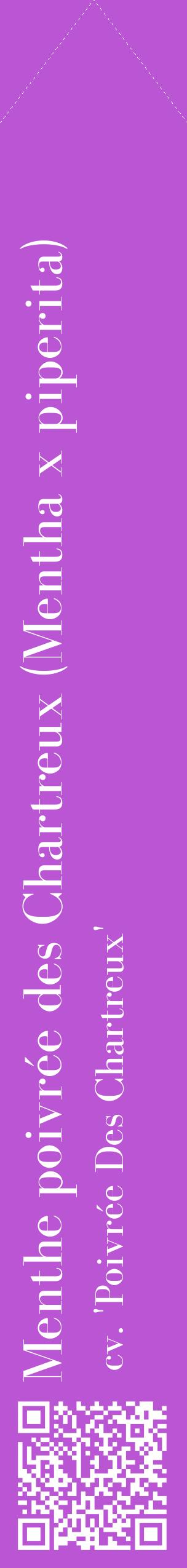 Étiquette de : Mentha x piperita cv. 'Poivrée Des Chartreux' - format c - style blanche50_simplebod avec qrcode et comestibilité