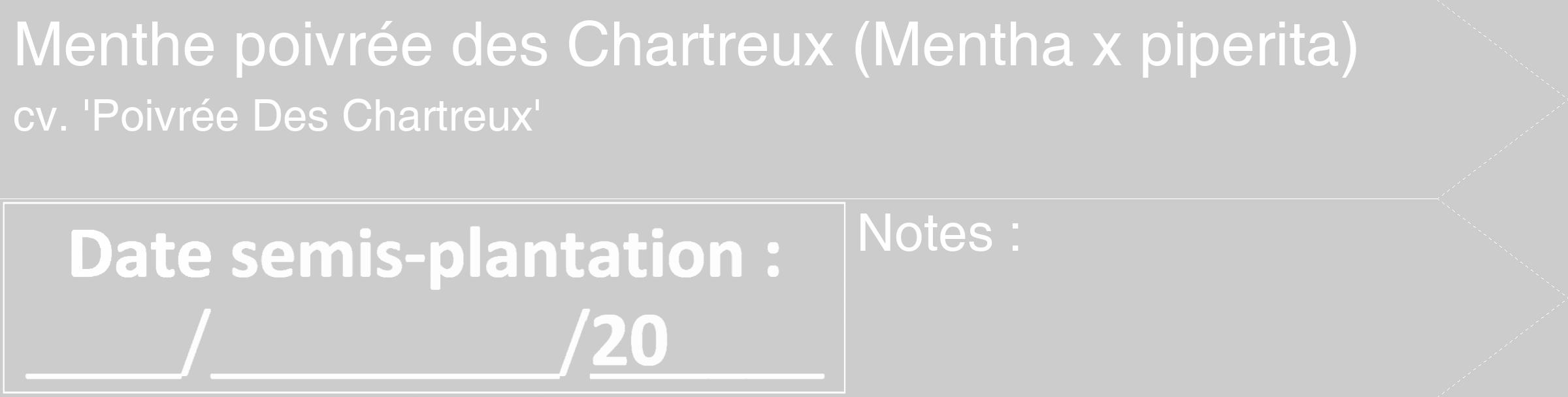 Étiquette de : Mentha x piperita cv. 'Poivrée Des Chartreux' - format c - style blanche0_simple_simplehel avec comestibilité