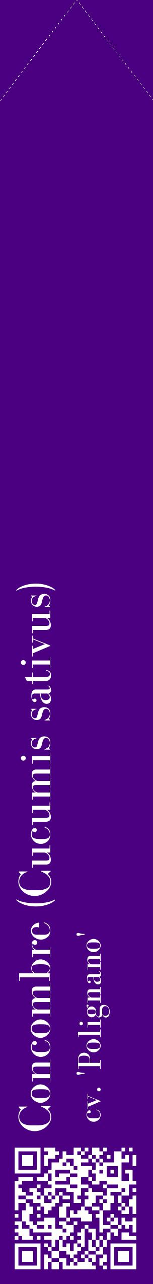 Étiquette de : Cucumis sativus cv. 'Polignano' - format c - style blanche47_simplebod avec qrcode et comestibilité
