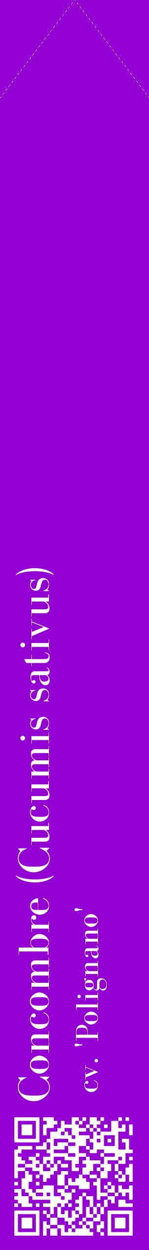 Étiquette de : Cucumis sativus cv. 'Polignano' - format c - style blanche48_simplebod avec qrcode et comestibilité