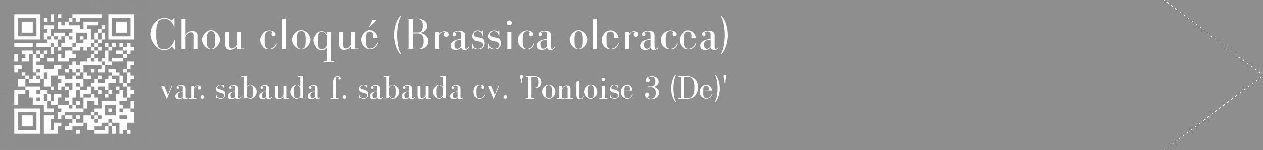 Étiquette de : Brassica oleracea var. sabauda f. sabauda cv. 'Pontoise 3 (De)' - format c - style blanche25_simple_simplebod avec qrcode et comestibilité