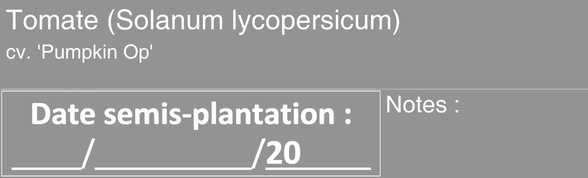 Étiquette de : Solanum lycopersicum cv. 'Pumpkin Op' - format c - style blanche44_basique_basiquehel avec comestibilité