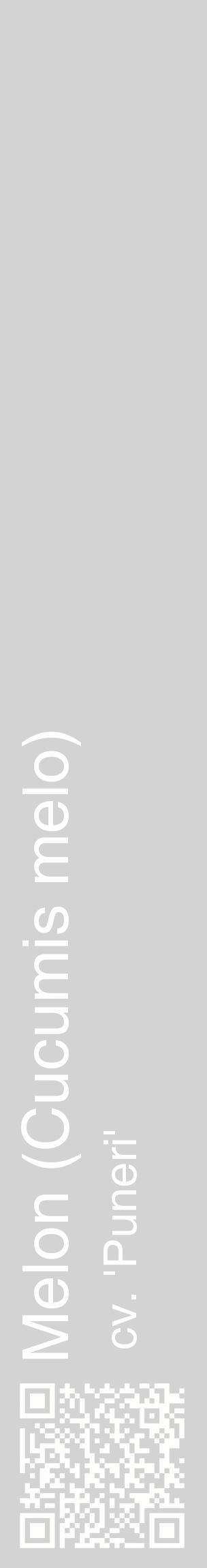 Étiquette de : Cucumis melo cv. 'Puneri' - format c - style blanche56_basiquehel avec qrcode et comestibilité
