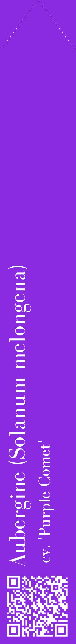 Étiquette de : Solanum melongena cv. 'Purple Comet' - format c - style blanche49_simplebod avec qrcode et comestibilité