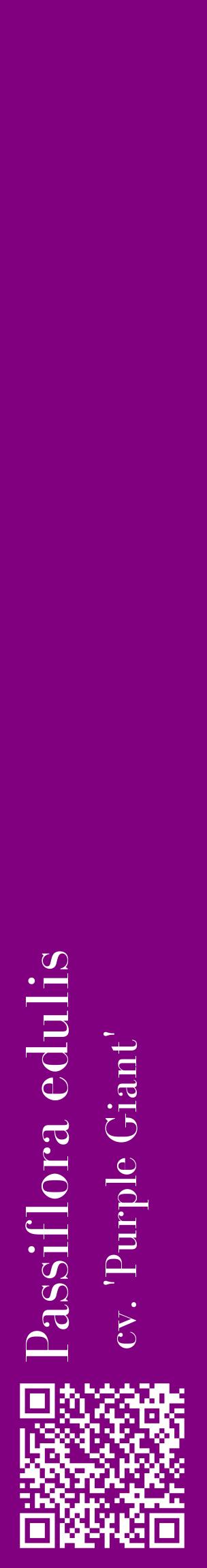 Étiquette de : Passiflora edulis cv. 'Purple Giant' - format c - style blanche46_basiquebod avec qrcode et comestibilité