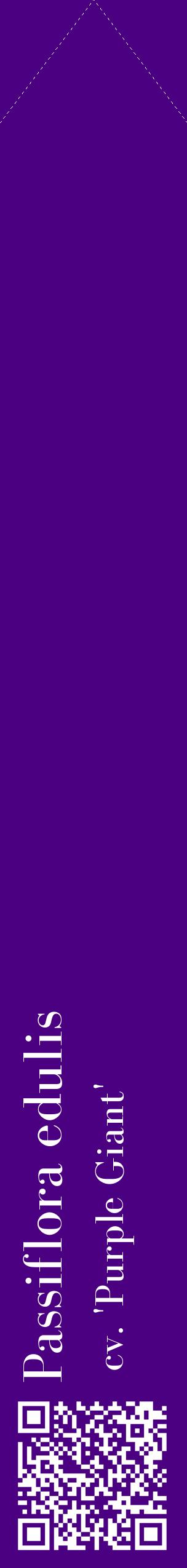 Étiquette de : Passiflora edulis cv. 'Purple Giant' - format c - style blanche47_simplebod avec qrcode et comestibilité