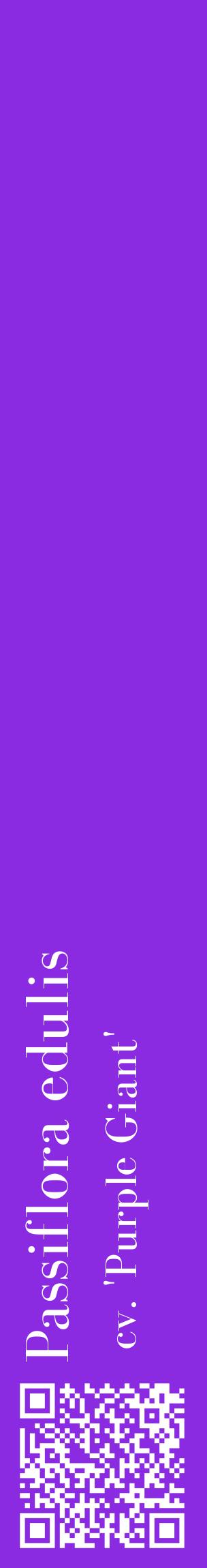 Étiquette de : Passiflora edulis cv. 'Purple Giant' - format c - style blanche49_basiquebod avec qrcode et comestibilité