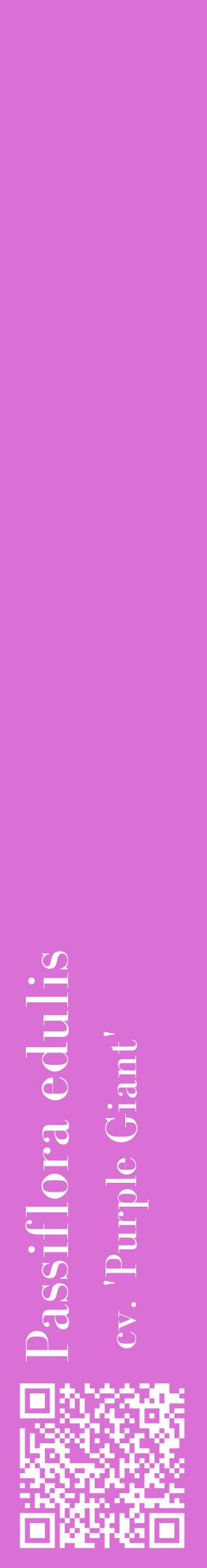 Étiquette de : Passiflora edulis cv. 'Purple Giant' - format c - style blanche52_basiquebod avec qrcode et comestibilité