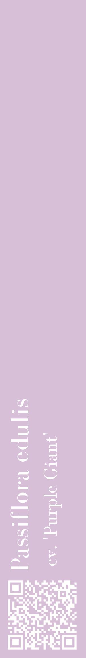Étiquette de : Passiflora edulis cv. 'Purple Giant' - format c - style blanche54_basiquebod avec qrcode et comestibilité