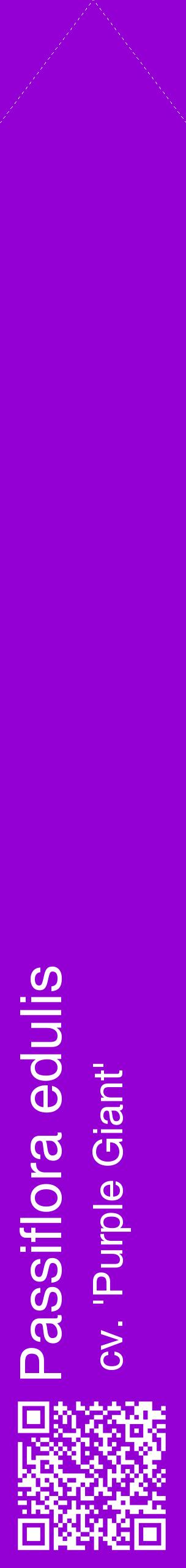 Étiquette de : Passiflora edulis cv. 'Purple Giant' - format c - style blanche48_simplehel avec qrcode et comestibilité