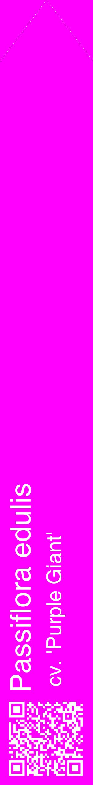 Étiquette de : Passiflora edulis cv. 'Purple Giant' - format c - style blanche51_simplehel avec qrcode et comestibilité