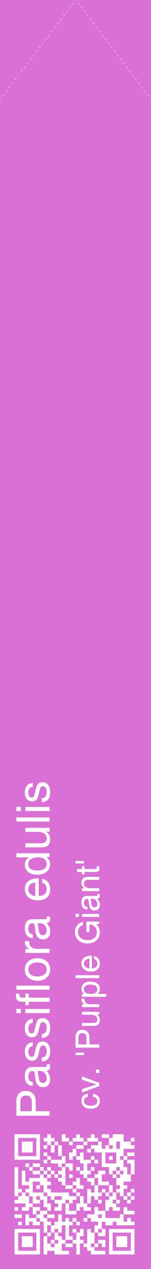 Étiquette de : Passiflora edulis cv. 'Purple Giant' - format c - style blanche52_simplehel avec qrcode et comestibilité