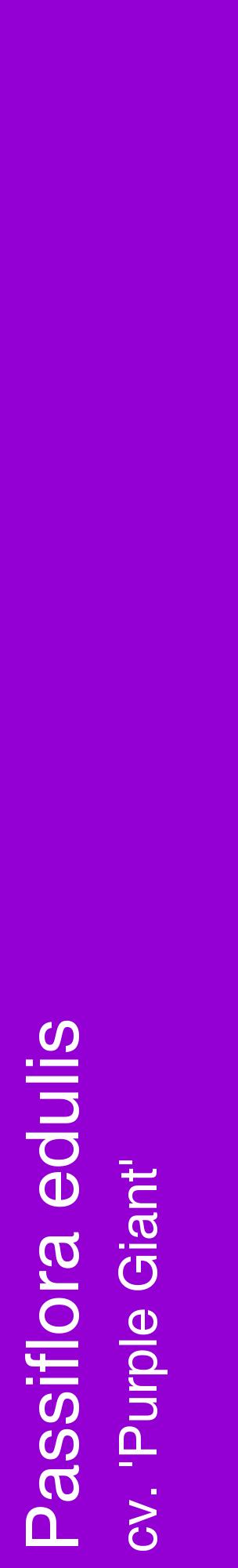 Étiquette de : Passiflora edulis cv. 'Purple Giant' - format c - style blanche48_basiquehel avec comestibilité