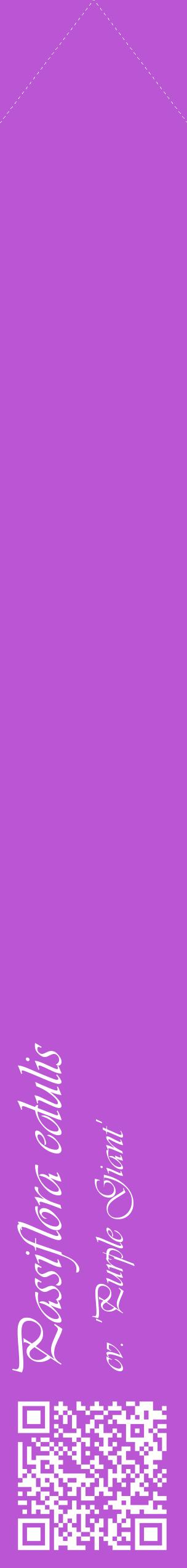 Étiquette de : Passiflora edulis cv. 'Purple Giant' - format c - style blanche50_simpleviv avec qrcode et comestibilité