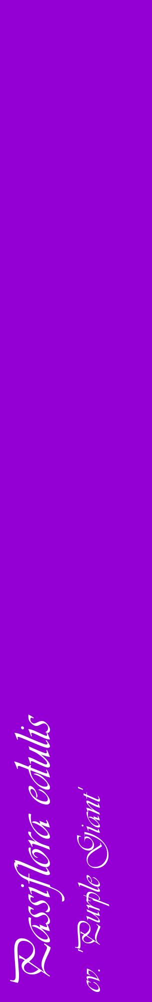 Étiquette de : Passiflora edulis cv. 'Purple Giant' - format c - style blanche48_basiqueviv avec comestibilité
