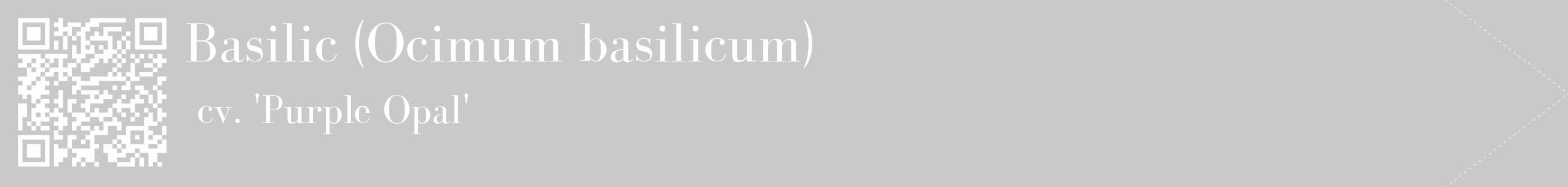 Étiquette de : Ocimum basilicum cv. 'Purple Opal' - format c - style blanche54_simple_simplebod avec qrcode et comestibilité
