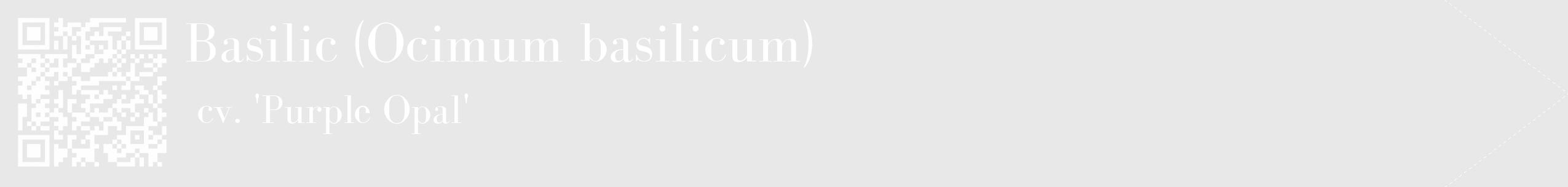 Étiquette de : Ocimum basilicum cv. 'Purple Opal' - format c - style blanche55_simple_simplebod avec qrcode et comestibilité