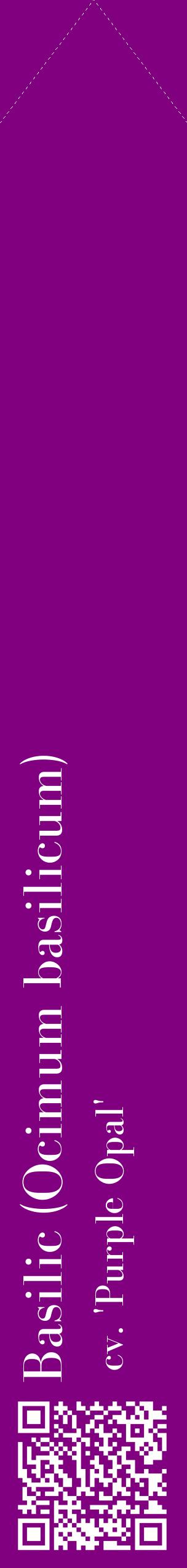 Étiquette de : Ocimum basilicum cv. 'Purple Opal' - format c - style blanche46_simplebod avec qrcode et comestibilité