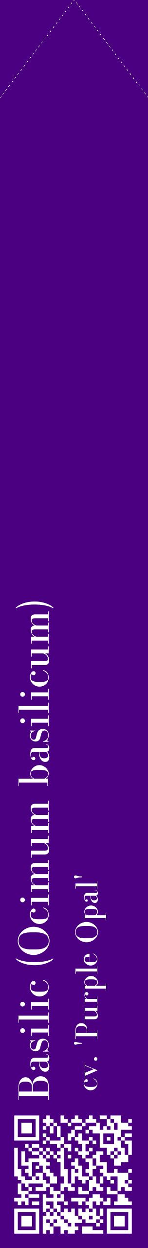 Étiquette de : Ocimum basilicum cv. 'Purple Opal' - format c - style blanche47_simplebod avec qrcode et comestibilité