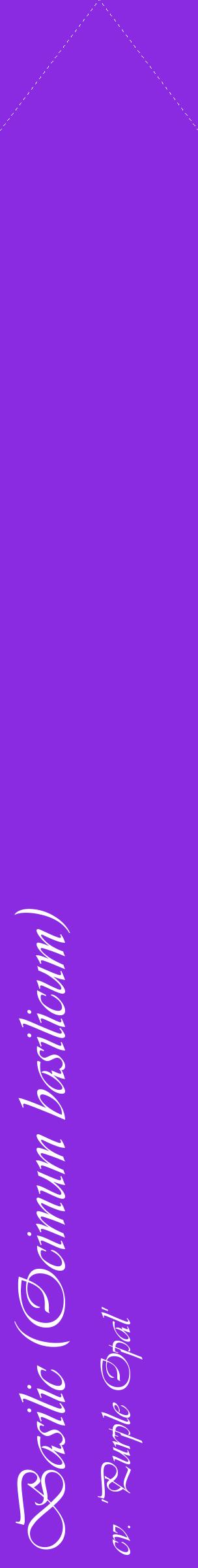 Étiquette de : Ocimum basilicum cv. 'Purple Opal' - format c - style blanche49_simpleviv avec comestibilité