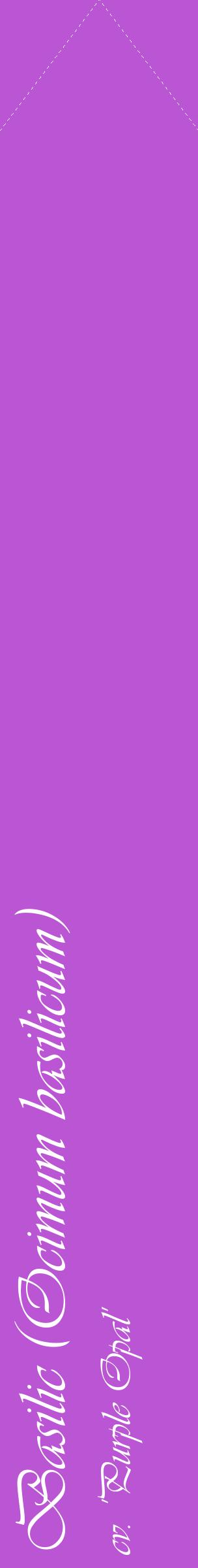 Étiquette de : Ocimum basilicum cv. 'Purple Opal' - format c - style blanche50_simpleviv avec comestibilité