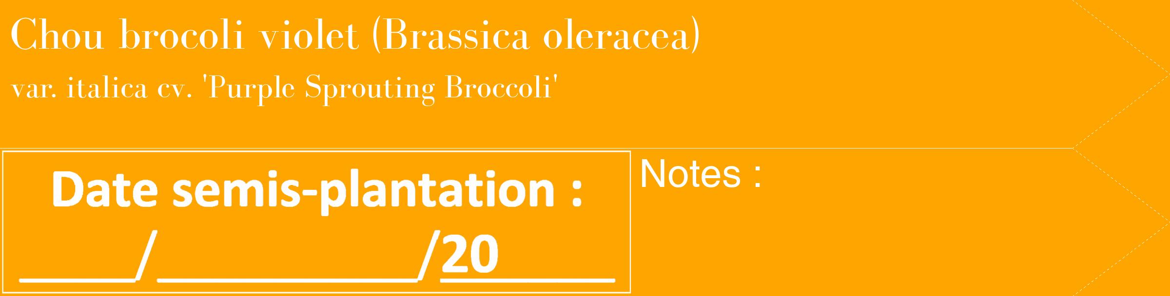 Étiquette de : Brassica oleracea var. italica cv. 'Purple Sprouting Broccoli' - format c - style blanche22_simple_simplebod avec comestibilité