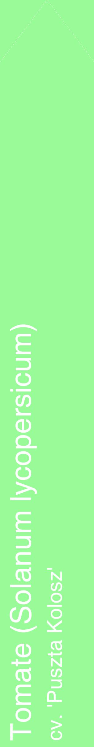 Étiquette de : Solanum lycopersicum cv. 'Puszta Kolosz' - format c - style blanche14_simplehel avec comestibilité