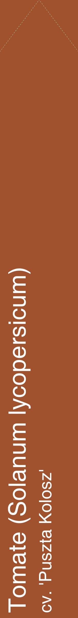 Étiquette de : Solanum lycopersicum cv. 'Puszta Kolosz' - format c - style blanche32_simplehel avec comestibilité