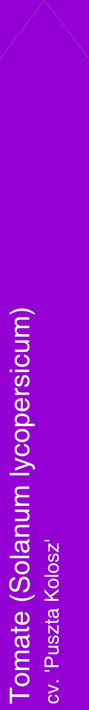 Étiquette de : Solanum lycopersicum cv. 'Puszta Kolosz' - format c - style blanche48_simplehel avec comestibilité