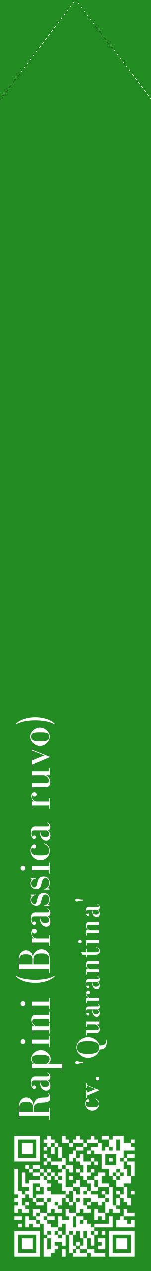 Étiquette de : Brassica ruvo cv. 'Quarantina' - format c - style blanche10_simplebod avec qrcode et comestibilité