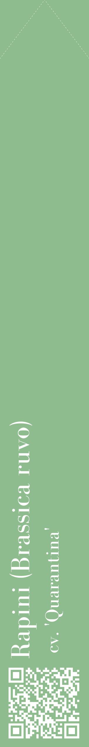 Étiquette de : Brassica ruvo cv. 'Quarantina' - format c - style blanche13_simplebod avec qrcode et comestibilité