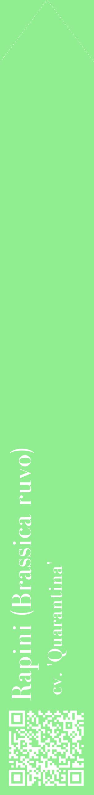 Étiquette de : Brassica ruvo cv. 'Quarantina' - format c - style blanche15_simplebod avec qrcode et comestibilité