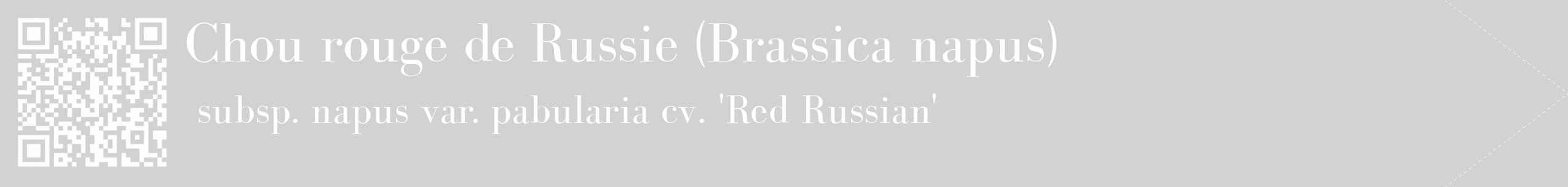 Étiquette de : Brassica napus subsp. napus var. pabularia cv. 'Red Russian' - format c - style blanche14_simple_simplebod avec qrcode et comestibilité