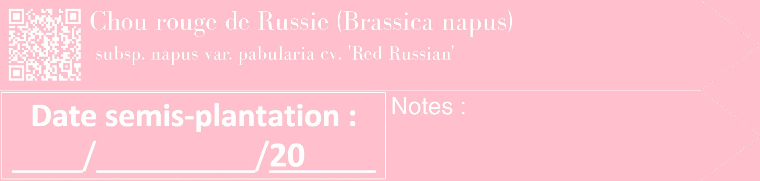 Étiquette de : Brassica napus subsp. napus var. pabularia cv. 'Red Russian' - format c - style blanche40_simple_simplebod avec qrcode et comestibilité