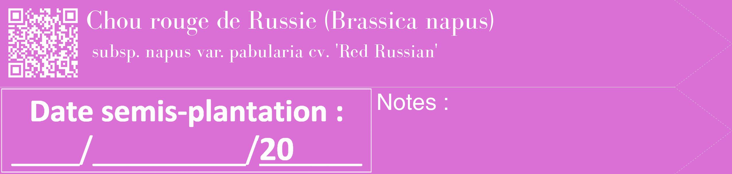 Étiquette de : Brassica napus subsp. napus var. pabularia cv. 'Red Russian' - format c - style blanche52_simple_simplebod avec qrcode et comestibilité