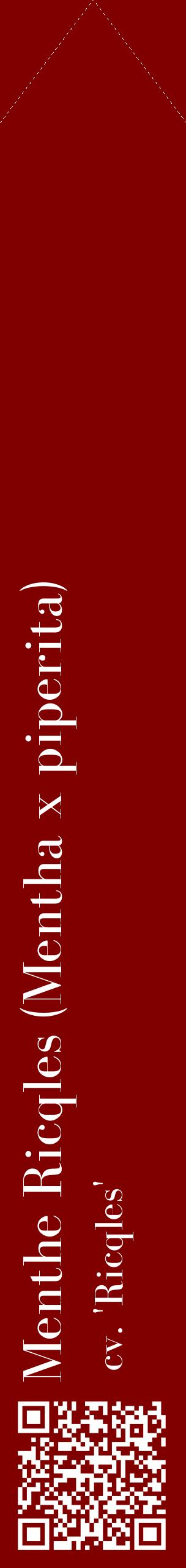 Étiquette de : Mentha x piperita cv. 'Ricqles' - format c - style blanche29_simplebod avec qrcode et comestibilité