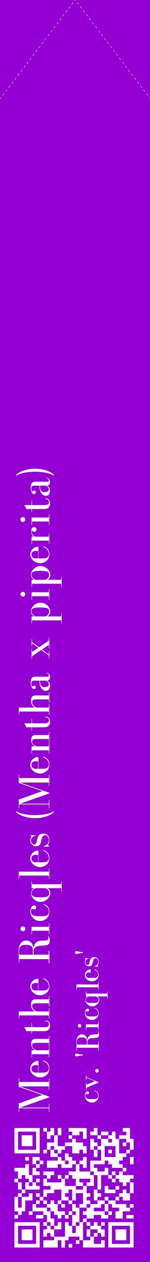 Étiquette de : Mentha x piperita cv. 'Ricqles' - format c - style blanche48_simplebod avec qrcode et comestibilité